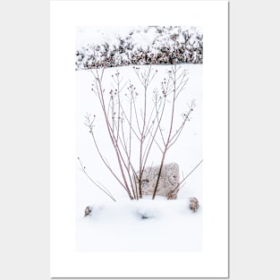 Winter Branches and My Rock in the Snow Posters and Art